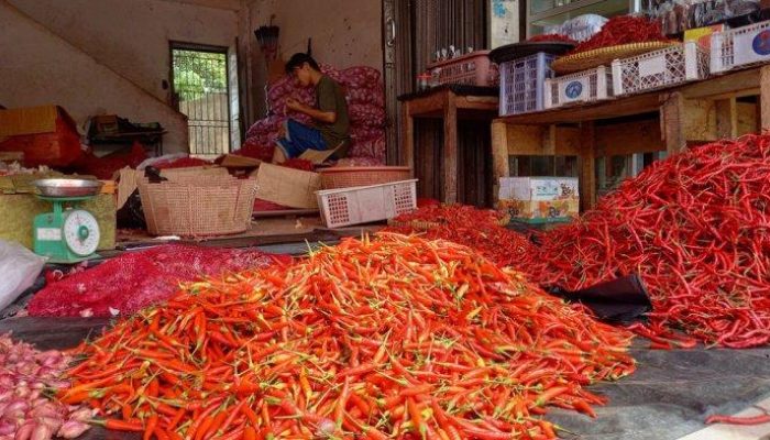 Harga Cabai Semakin Pedas
