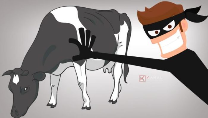 Maling Hewan Ternak Ketangkap Polisi