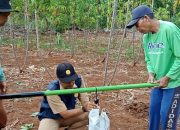 Dinas Himbau Petani Gunungkidul Segera Olah Lahan