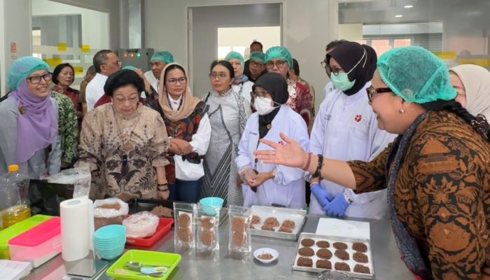 Kunjungi BRIN Gunungkidul, Megawati Sampaikan Pesan Penting
