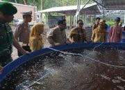 Sinergi Ketahanan Pangan: Bupati Tebar Benih Lele di Karangrejek, Dukung Program Makan Bergizi Gratis