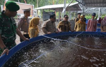 Sinergi Ketahanan Pangan: Bupati Tebar Benih Lele di Karangrejek, Dukung Program Makan Bergizi Gratis