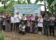 Sambang Petani di Banyusoco, Bupati Gunungkidul Salurkan Ribuan Bibit Kelapa Genjah