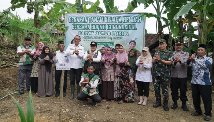 Sambang Petani di Banyusoco, Bupati Gunungkidul Salurkan Ribuan Bibit Kelapa Genjah