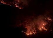 Sri Sultan Soroti Maraknya Kebakaran Hutan di Gunungkidul