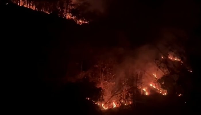 Sri Sultan Soroti Maraknya Kebakaran Hutan di Gunungkidul