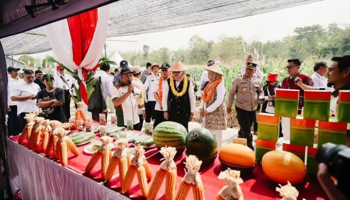 Jogja Benih Expo 2026 Hadirkan Inovasi untuk Pertanian Berkelanjutan