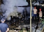 Dapur dan Gudang Kayu di Paliyan Ludes Terbakar, Kerugian Capai Rp5 Juta