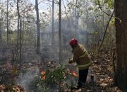 Tiga Kebakaran Lahan Terjadi dalam Sehari, Kemarau Panjang Tingkatkan Risiko Karhutla di Gunungkidul