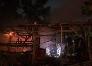 Kandang Disambar Api, Tiga Ekor Sapi Berhasil Diselamatkan