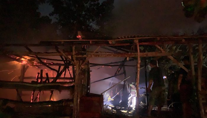 Kandang Disambar Api, Tiga Ekor Sapi Berhasil Diselamatkan