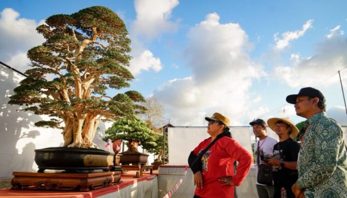Handayani Bonsai Festival II Resmi Dibuka, 647 Bonsai Berkelas Nasional Dipamerkan