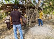 Dua Ekor Kambing Milik Warga Kepek Raib Digondol Maling