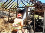 Kebakaran Kandang di Banjarejo Gunungkidul, Kerugian Capai Rp 5 Juta