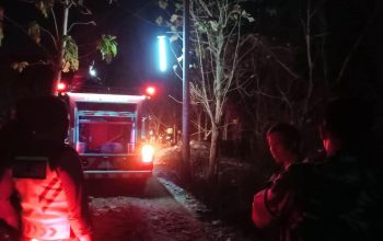 3 Kebakaran Terjadi di Gunungkidul dalam Sehari, Lahan dan Kandang Terdampak