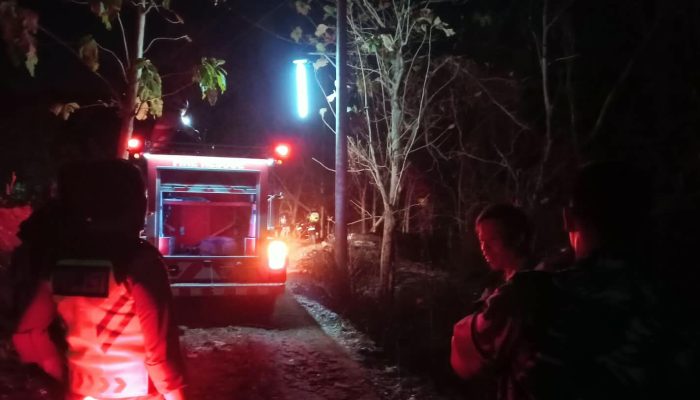 3 Kebakaran Terjadi di Gunungkidul dalam Sehari, Lahan dan Kandang Terdampak
